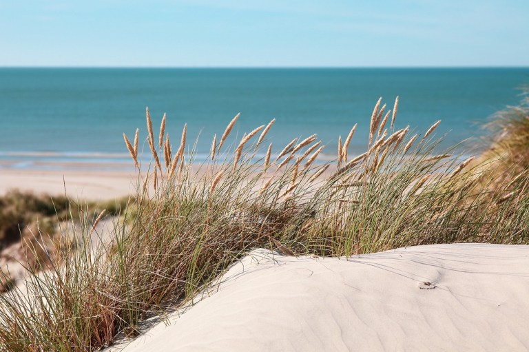 water, dunes, summer feeling
