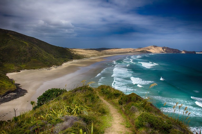new-zealand-beach-sea-583172
